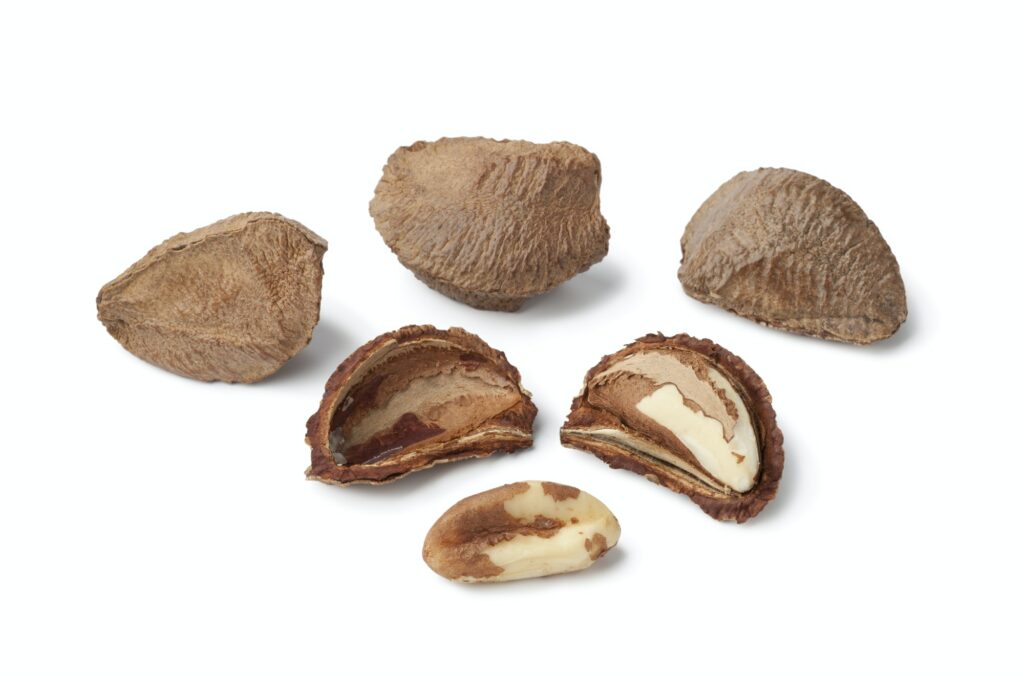 Fresh Brazil nuts