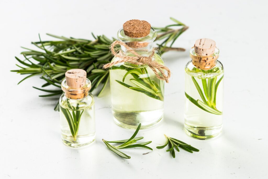 Rosemary essential oil in the bottle on white